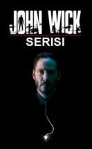 John Wick Serisi